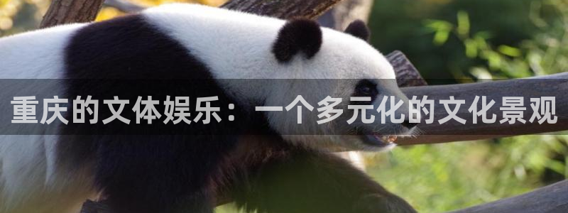 恒行2体育登录入口：重庆的文体娱乐：一个多元化的文化景观