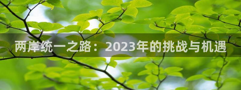 东莞市恒行电子科技有限公司：两岸统一之路：2023年的挑战与机遇