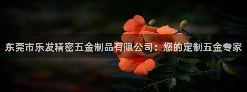 恒行体育平台总代理：东莞市乐发精密五金制品有限公司：您的定制五金专家