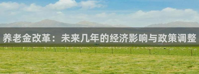 恒行体育论坛：养老金改革：未来几年的经济影响与政策调整