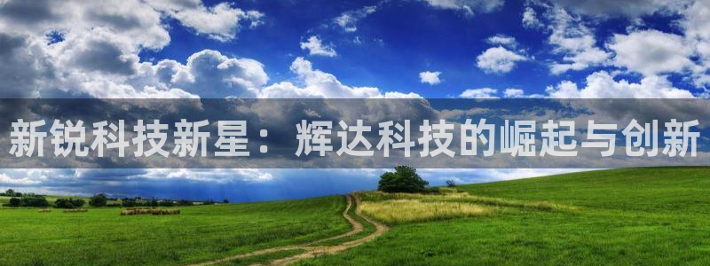 恒行登录注册：新锐科技新星：辉达科技的崛起与创新