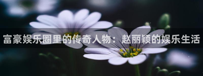 恒行主管：富豪娱乐圈里的传奇人物：赵丽颖的娱乐生活