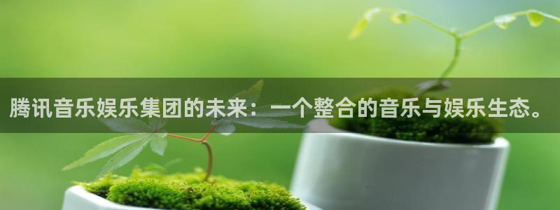 恒行招商：腾讯音乐娱乐集团的未来：一个整合的音乐与娱乐生态。