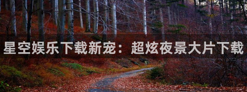 恒行代理注册官网入口：星空娱乐下载新宠：超炫夜景大片下载