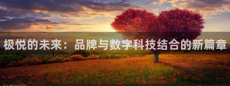 恒行平台招商：极悦的未来：品牌与数字科技结合的新篇章