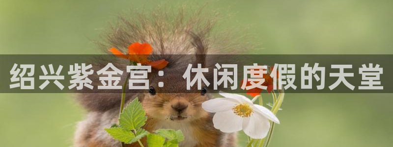 恒行体育官网登录：绍兴紫金宫：休闲度假的天堂
