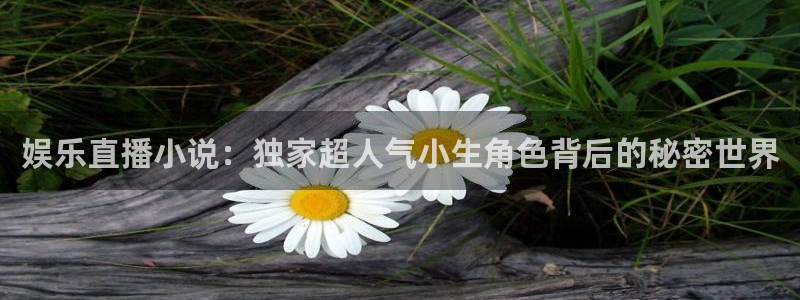 恒行体育代理申请流程：娱乐直播小说：独家超人气小生角色背后的秘密世界