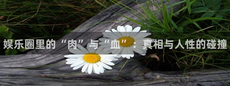恒行招商：娱乐圈里的“肉”与“血”：真相与人性的碰撞