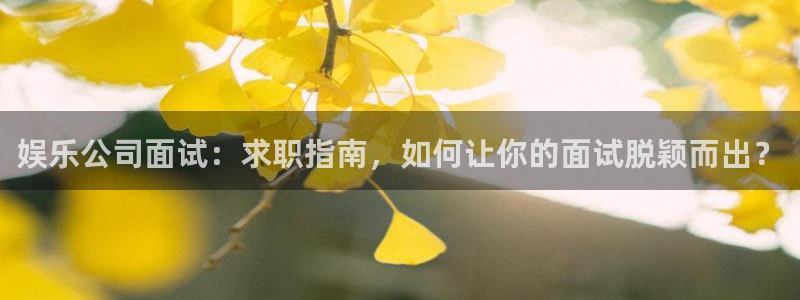 恒行登录注册：娱乐公司面试：求职指南，如何让你的面试脱颖而出？