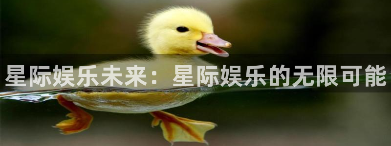 恒行平台招商：星际娱乐未来：星际娱乐的无限可能