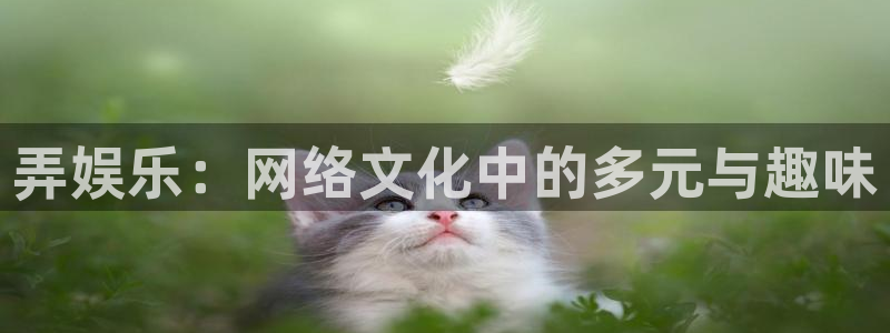 恒行体育凯捷登陆：弄娱乐：网络文化中的多元与趣味