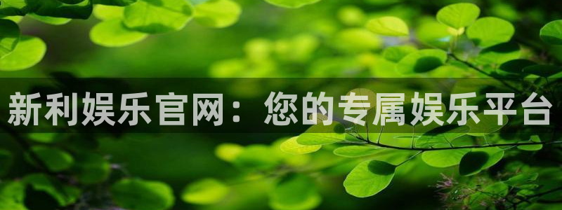 恒行2体育登录入口：新利娱乐官网：您的专属娱乐平台