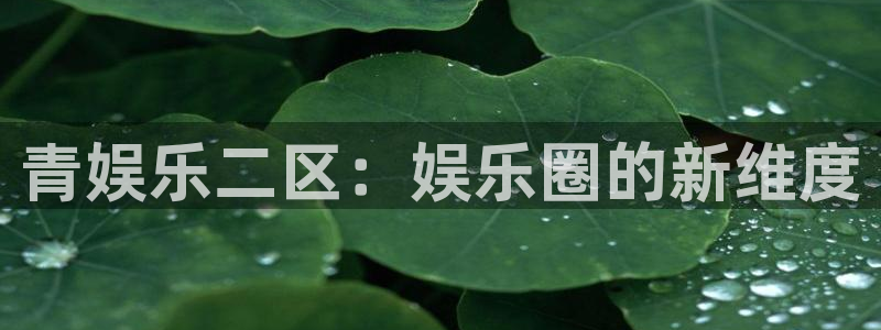 恒行凯捷平台注册链接：青娱乐二区：娱乐圈的新维度