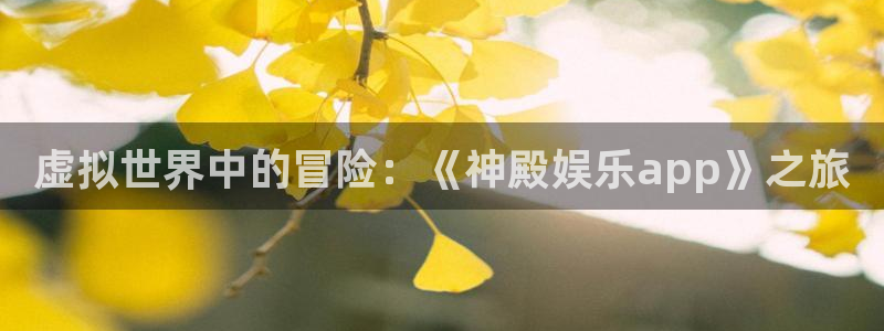 恒行代理：虚拟世界中的冒险：《神殿娱乐app》之旅