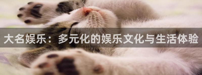恒行零能源集团：大名娱乐：多元化的娱乐文化与生活体验