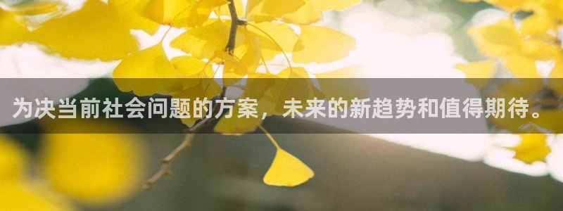 恒行现在优惠多少：为决当前社会问题的方案，未来的新趋势和值得期待。