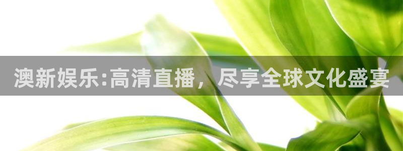 恒行体育3在线注册：澳新娱乐:高清直播，尽享全球文化盛宴