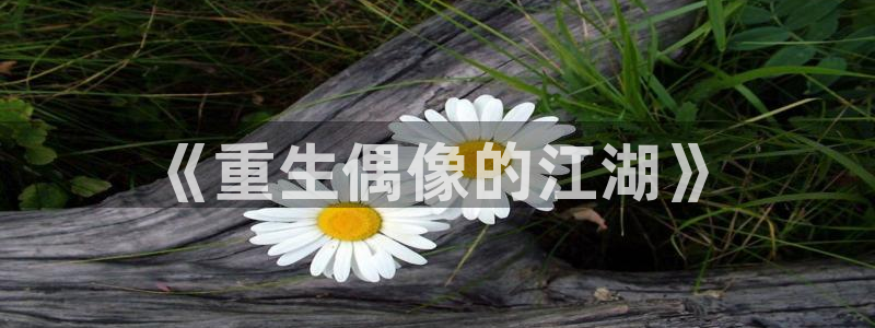 恒行登录注册：《重生偶像的江湖》