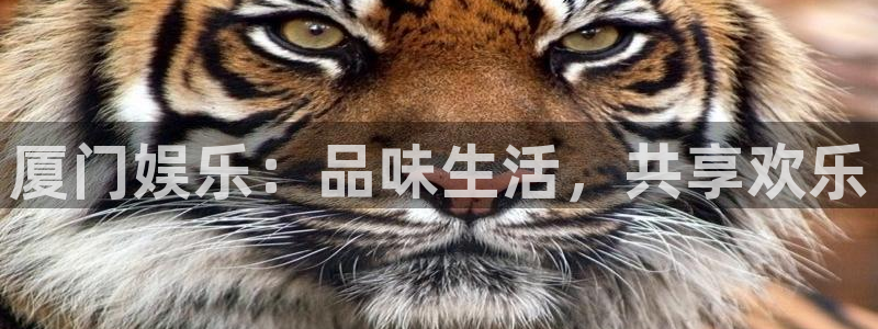 恒行体育：厦门娱乐：品味生活，共享欢乐