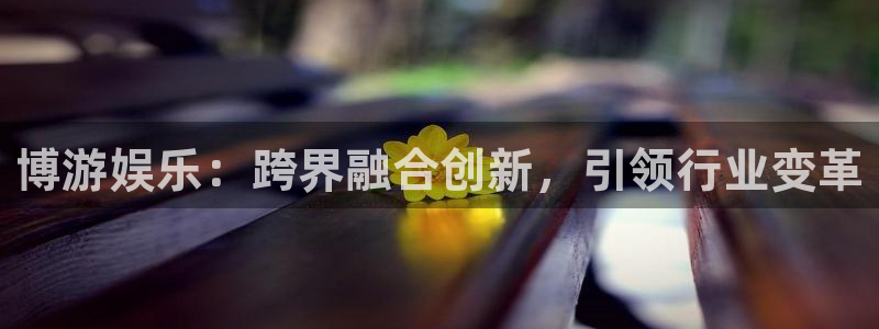 恒行2平台：博游娱乐：跨界融合创新，引领行业变革
