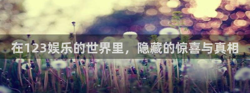 恒行体育论坛：在123娱乐的世界里，隐藏的惊喜与真相