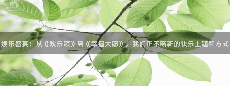 恒行股份：娱乐盛宴：从《欢乐颂》到《幸福大愿》，我们正不断新的快乐主题和方式