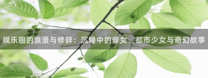 恒行主管：娱乐圈的浪漫与修辞：沉睡中的修女、都市少女与奇幻故事