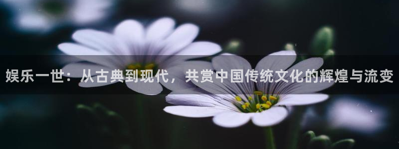 恒行体育官网：娱乐一世：从古典到现代，共赏中国传统文化的辉煌与流变