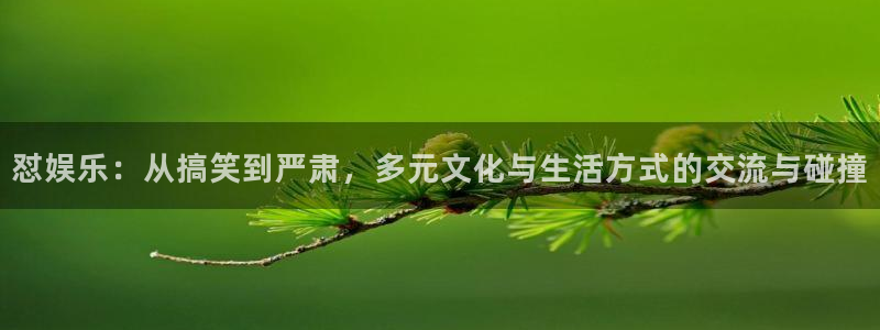 恒行3登录：怼娱乐：从搞笑到严肃，多元文化与生活方式的交流与碰撞
