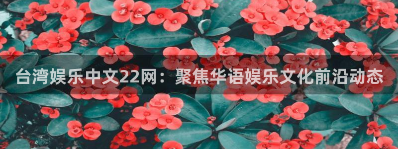 恒行f凯捷平台在线注册：台湾娱乐中文22网：聚焦华语娱乐文化前沿动态