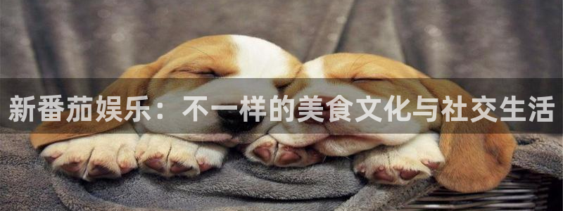 www.恒行体育.com：新番茄娱乐：不一样的美食文化与社交生活