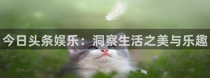 恒行2平台注册：今日头条娱乐：洞察生活之美与乐趣