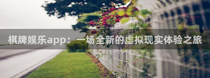 恒行4注册：棋牌娱乐app：一场全新的虚拟现实体验之旅