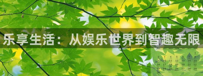 恒行f凯捷注册：乐享生活：从娱乐世界到智趣无限